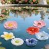 8-Piece Butterfly Drinking and Feeding Bowl Set view 3
