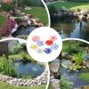 8-Piece Butterfly Drinking and Feeding Bowl Set view 4