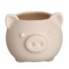 Nordic-Style Cartoon Pig-Shaped Small Planter view 1