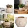 Nordic-Style Cartoon Pig-Shaped Small Planter view 2