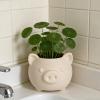Nordic-Style Cartoon Pig-Shaped Small Planter view 3