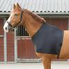 Kivivaka Horse Shoulder Protection Vest, Stretch Spandex Chest Protector, Black, M view 4