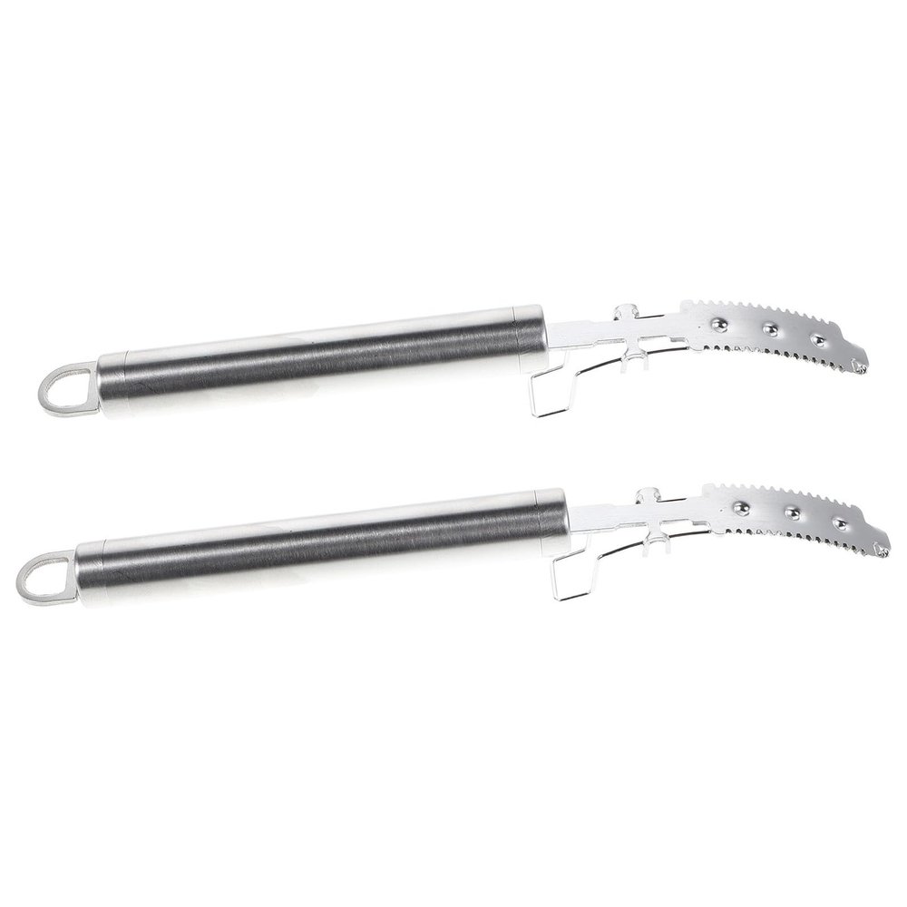 DINHEAROM Stainless Steel Pig Hair Scrapers, 2-Piece Set with Precision Blades