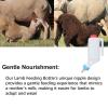 Goat Feeding Bottles with Comfortable Grip for Animal Rearing view 4