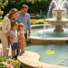 Garden Bee Bath, Floating Flower-Shaped Butterfly Bowl view 2
