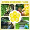 Garden Bee Bath, Floating Flower-Shaped Butterfly Bowl view 4