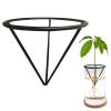 Avocado Growing Holder for Wide-Mouth Jars view 1