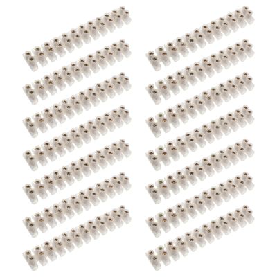 20 White 12-Position Dual-Row Screw Terminal Blocks