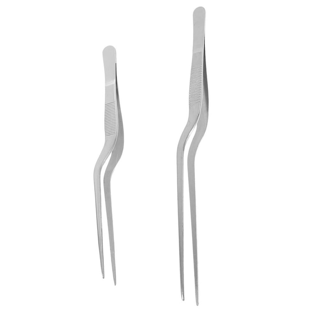 BESTOYARD 2-Piece Stainless Steel Cooking Tweezers for Precise Fish Bone Removal and Western Dishes