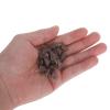 Kichvoe 100-Piece Brown Plastic Duck Beaks for Plush Toys and Animal Figures view 4