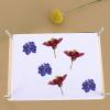 Professional Wooden and Metal Flower Press Set view 4